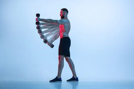 Músculos y Funciones en el Ejercicio